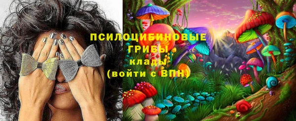 гидра Алексин
